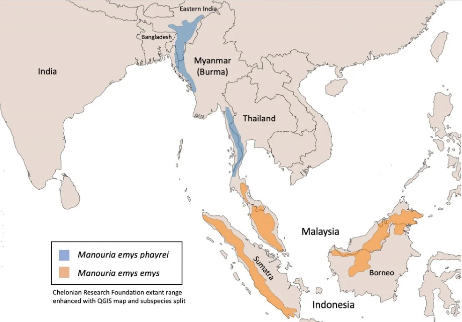 Manouria emys range map